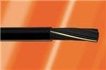 XM1205RCY BK001 on Advantage Electric Supply
