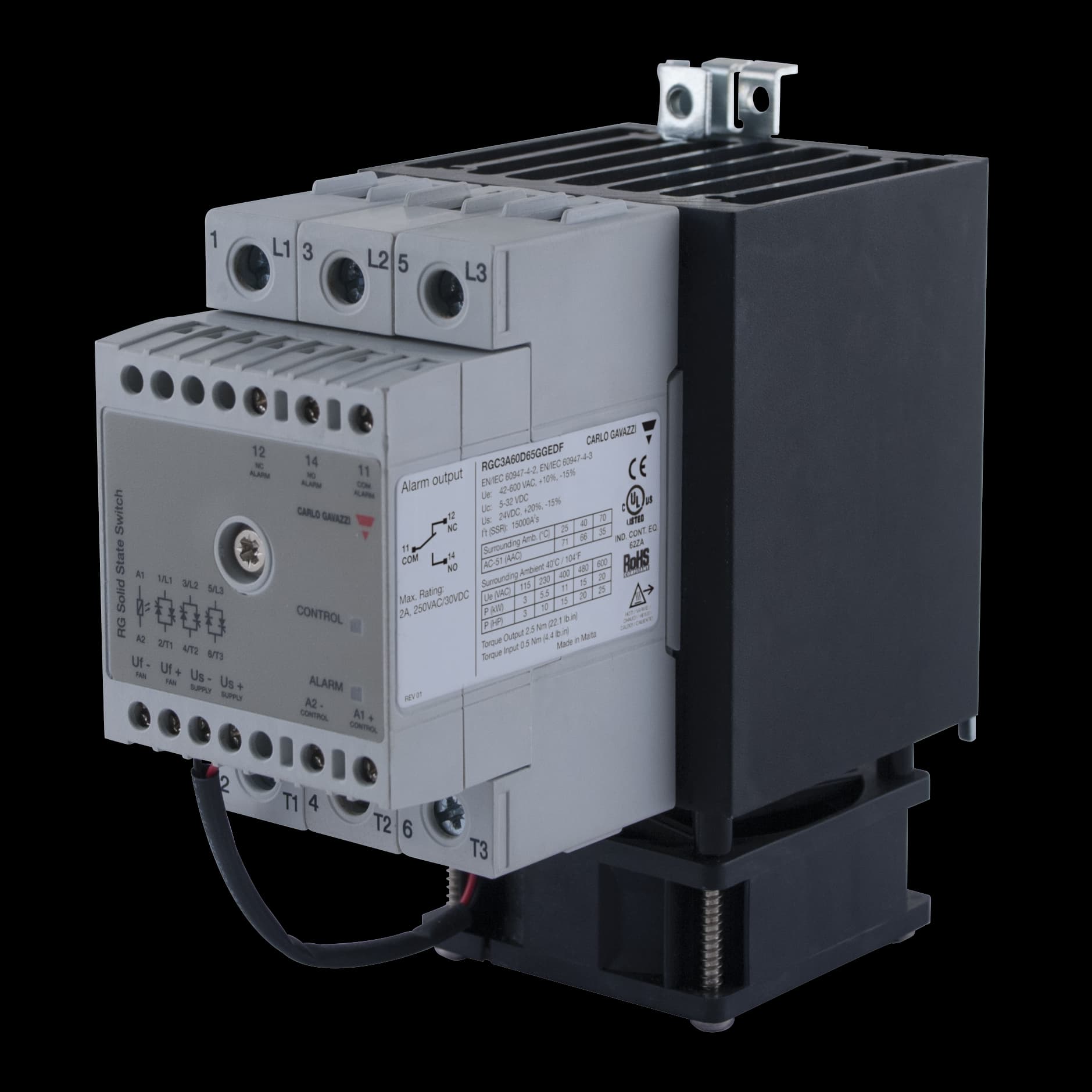 RGC2A60A75GGEAF on Advantage Electric Supply