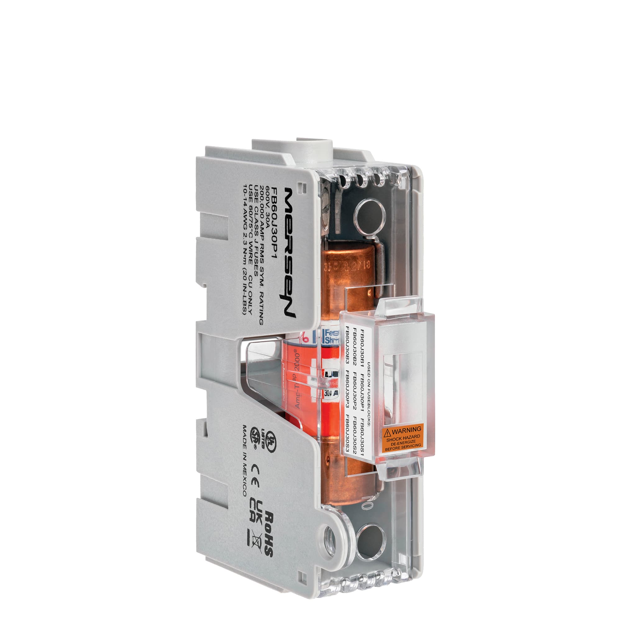 FB60J30P1 on Advantage Electric Supply