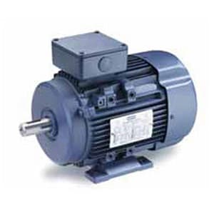 Leeson 19206200 General Purpose; 1-1/2HP; D90L Frame Size; 1200 Sync RPM; 230/460 Voltage; AC; IP55 Enclosure; IEC Frame Profile; Three Phase; 60 Hertz; B3 Face and Rigid; Base; 24MM Shaft Diameter; 90MM Base to Center of Shaft; 320.04MM Overall Length 19206200 on Advantage Electric Supply
