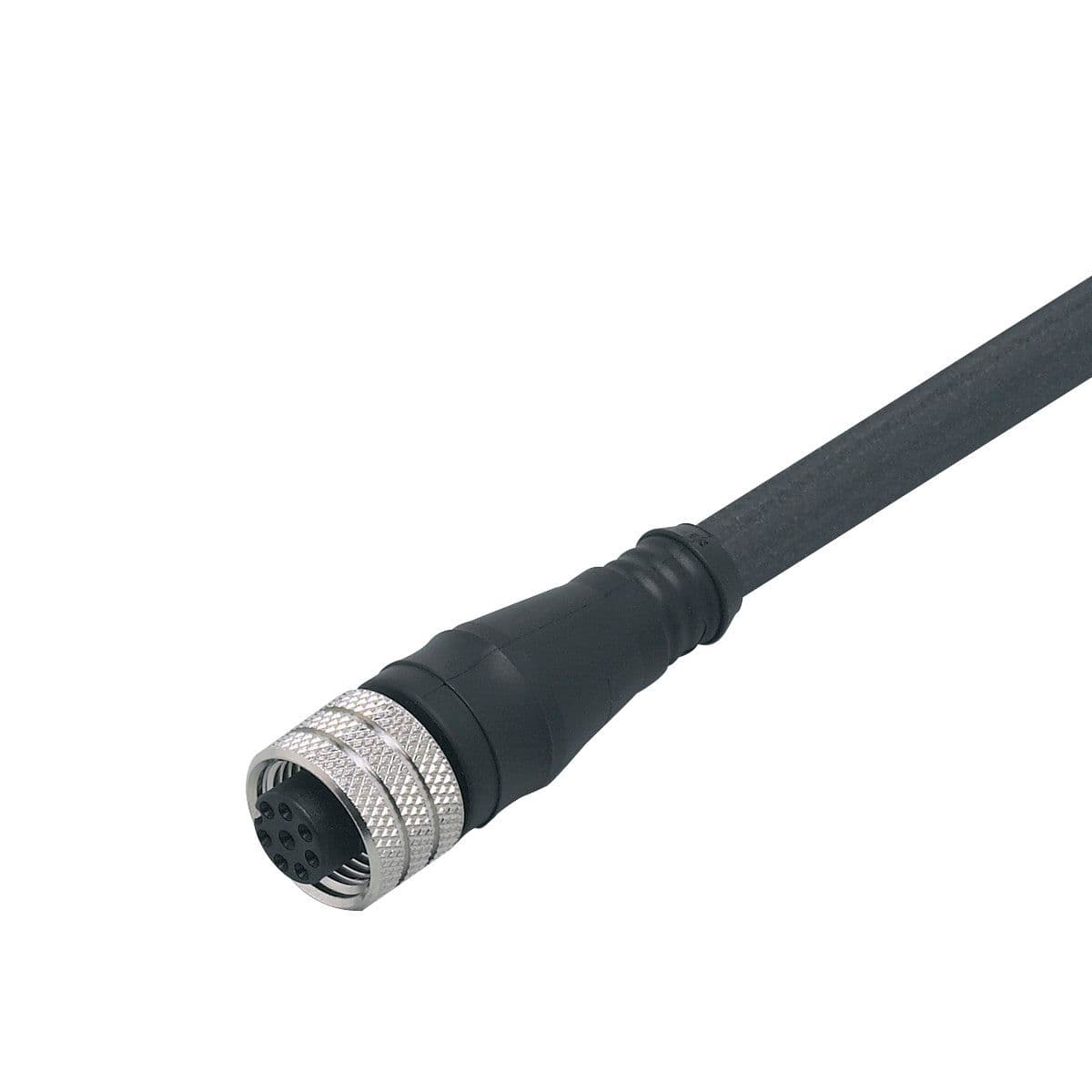 ifm Electronic E12403 Female cordset, 8-pole connection, System: screened cable E12403 on Advantage Electric Supply